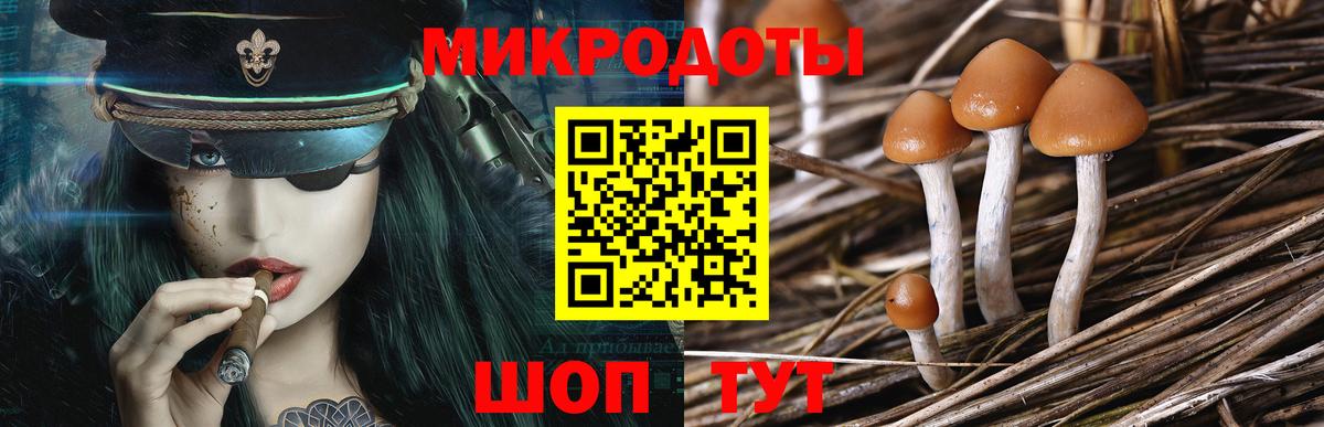 Псилоцибиновые грибы Psilocybine cubensis  Вход с VPN  Майкоп 
